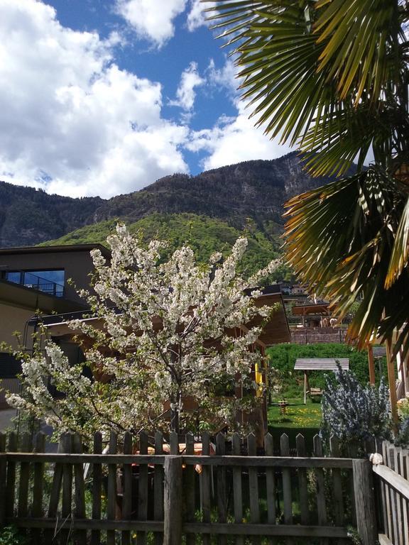 Wiesmuellerhof Caldaro Bagian luar foto