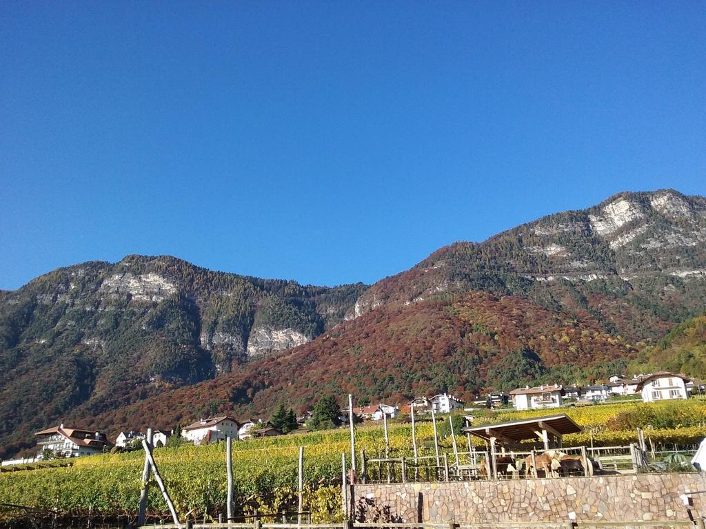 Wiesmuellerhof Caldaro Bagian luar foto