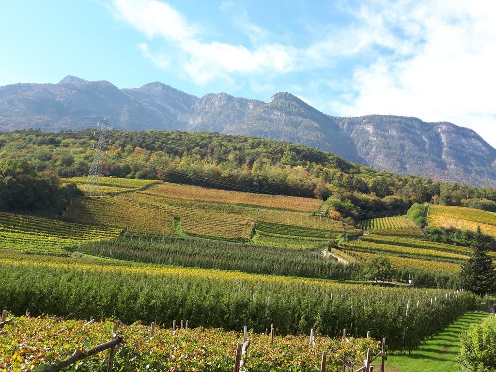 Wiesmuellerhof Caldaro Bagian luar foto