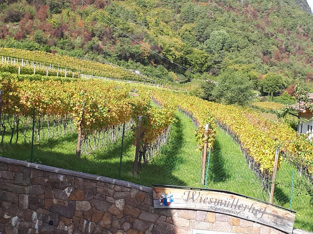 Wiesmuellerhof Caldaro Bagian luar foto